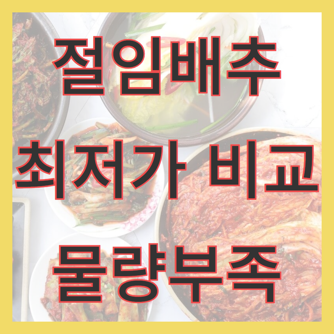 아로스 팝업