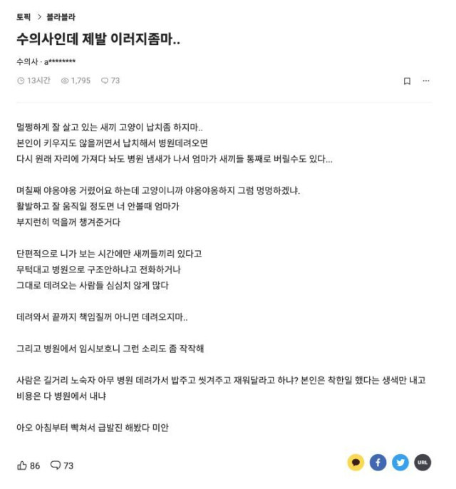 캣맘들때문에 개빡친 수의사