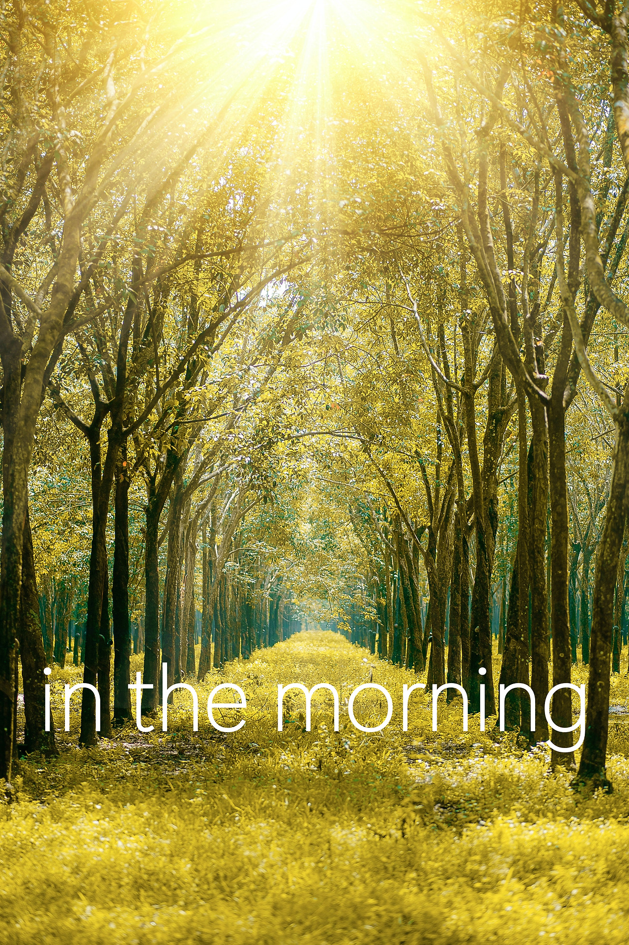 전치사 in 뜻 용법 in the morning
