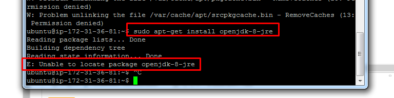 unable to locate package openjdk 8 jre