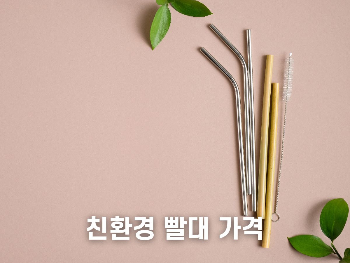 TOP 7 친환경 빨대 종류, 가격 (종이, 옥수수, 쌀, 대나무 등)