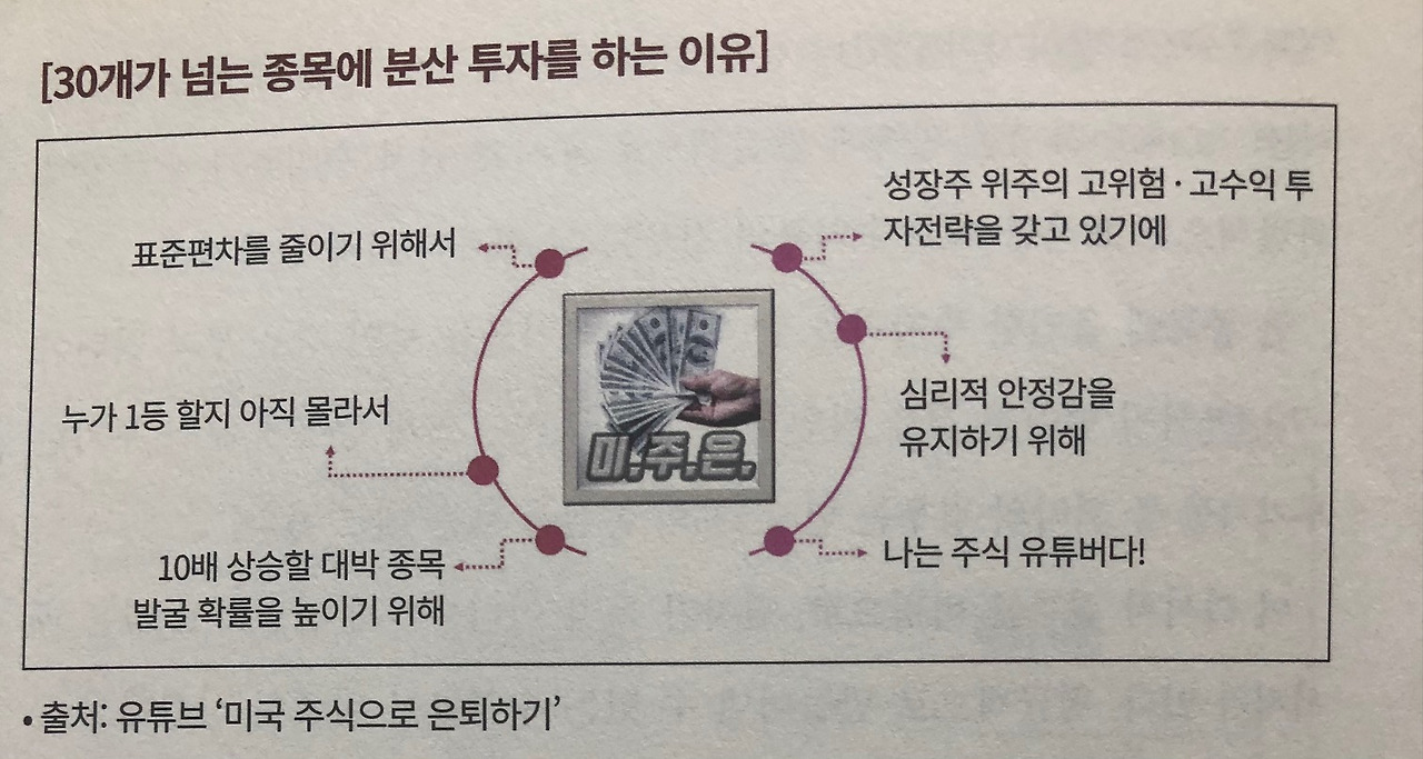 미주은/ 미국주식으로 은퇴하기/요약 및 정리 13 30개가 넘는 종목에 분산투자를 하는 이유