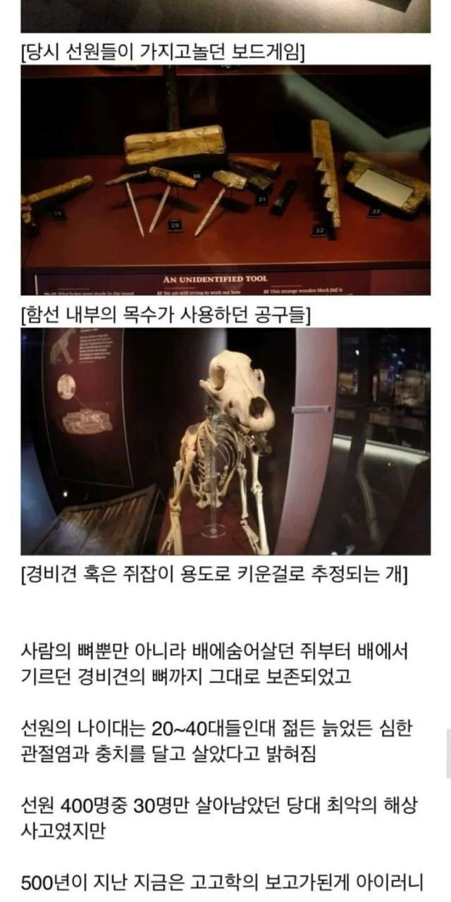 ?scode=mtistory2&fname=https%3A%2F%2Fblog.kakaocdn.net%2Fdn%2F4PxkD%2FbtrHmecsk3p%2FJZwx40AvvwjUac8FS98jM1%2Fimg.jpg