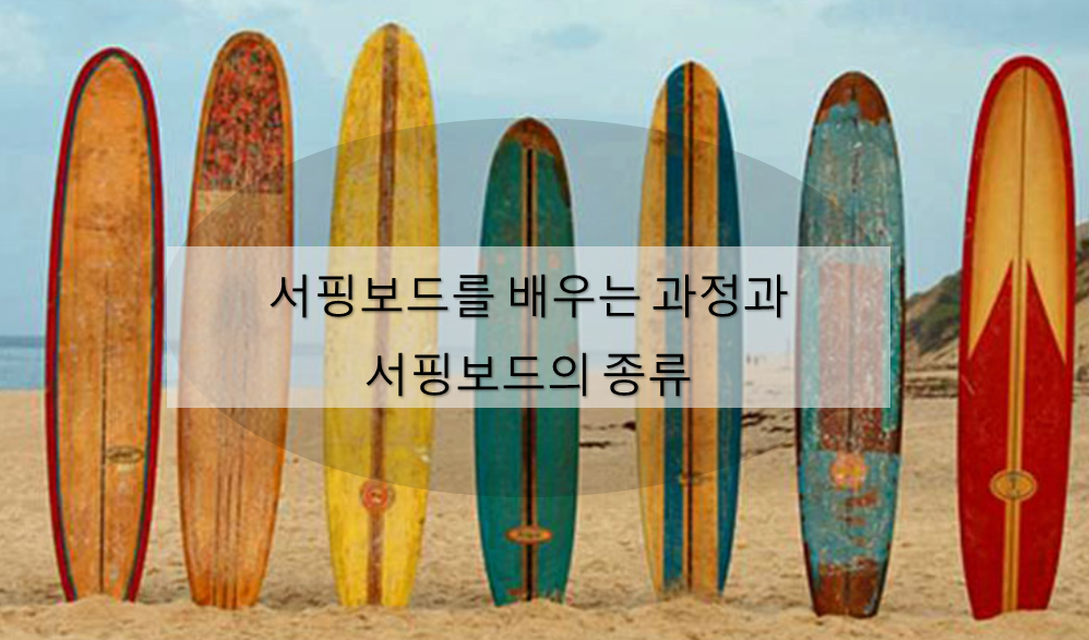 서핑보드를 배우는 과정과 서핑보드의 종류