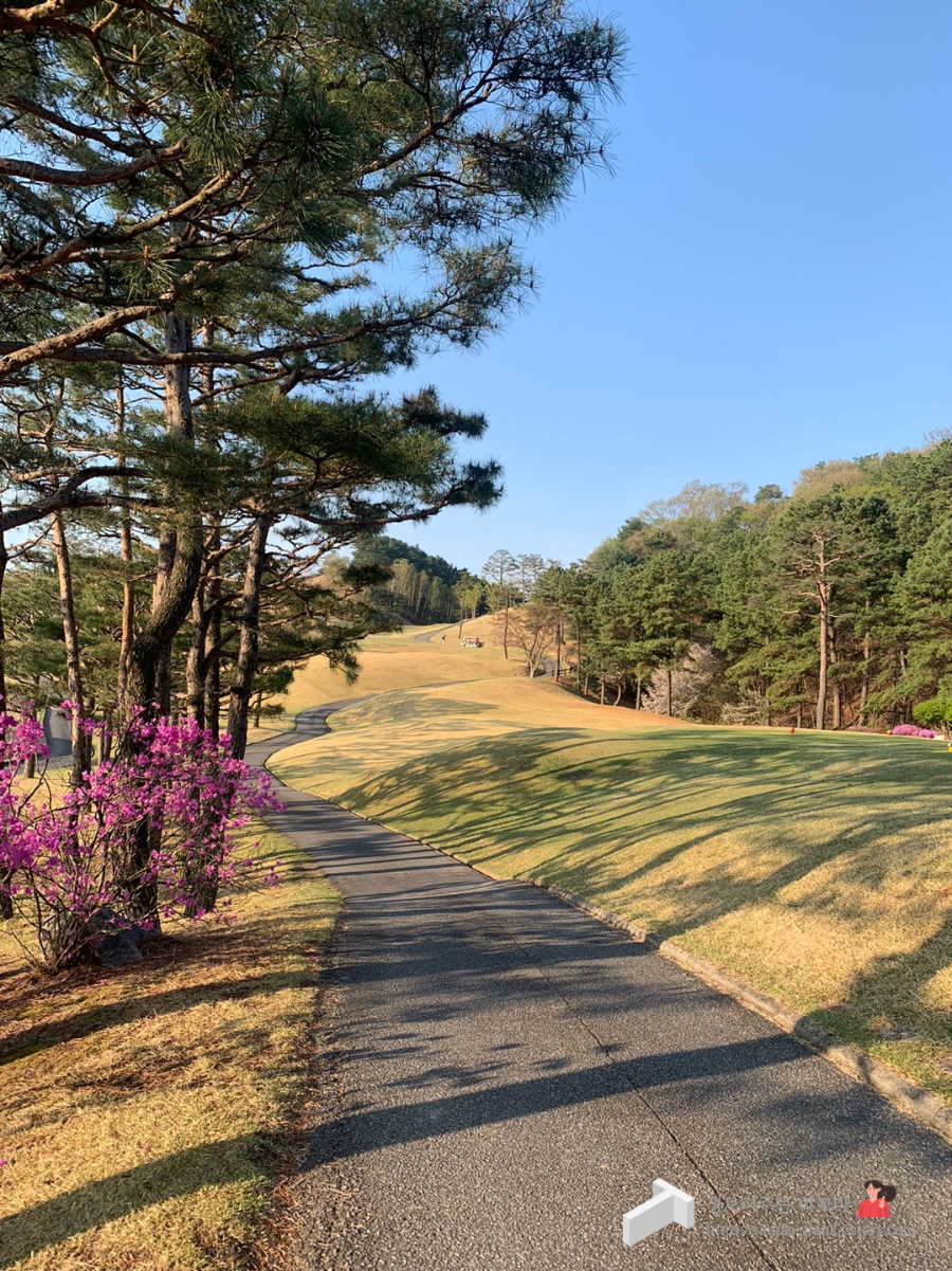 은화삼CC 용인 골프라운드 후기(난이도, 그린피 정보) 3 ywAAAAAAQABAAACAUwAOw==
