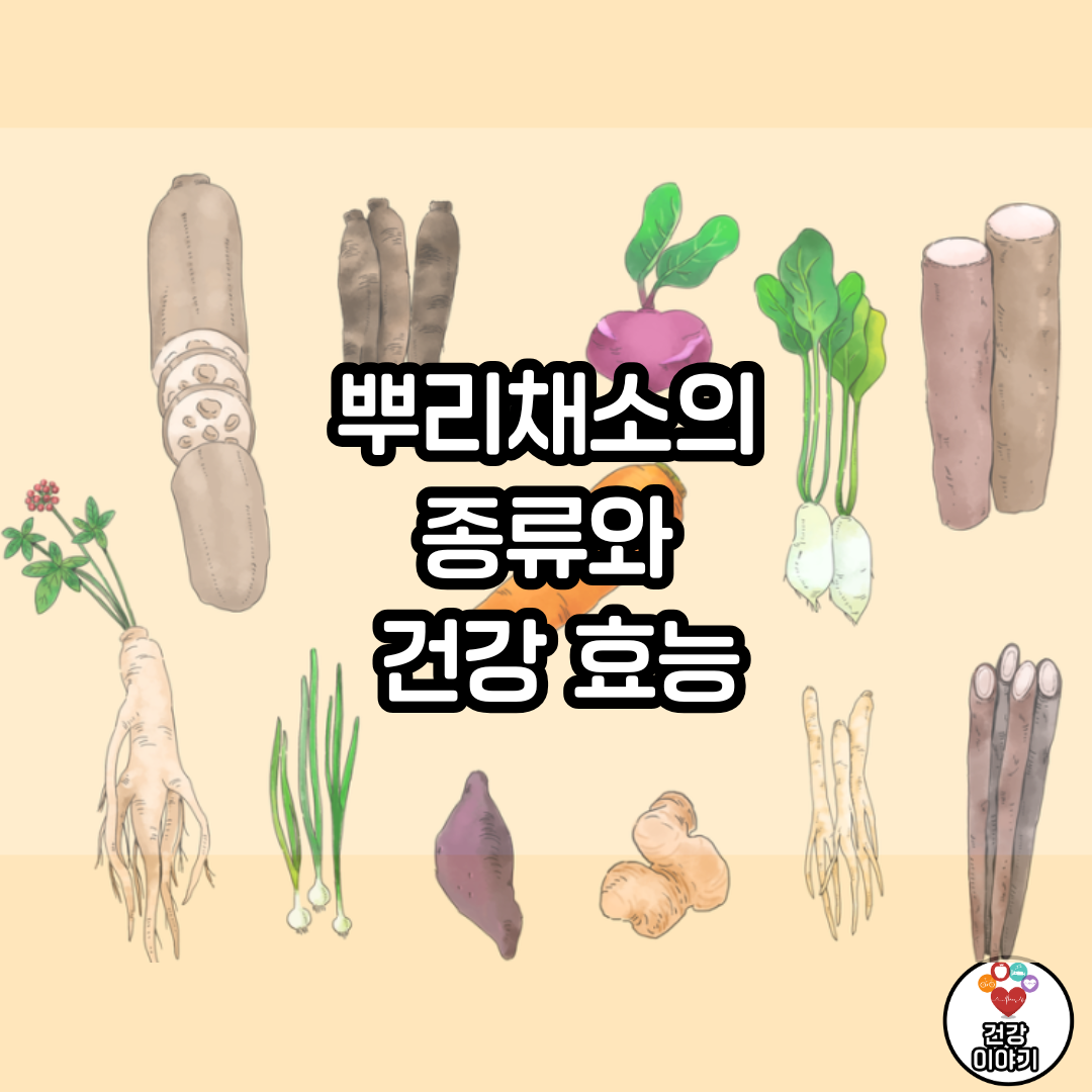 뿌리채소의 종류와 건강 효능
