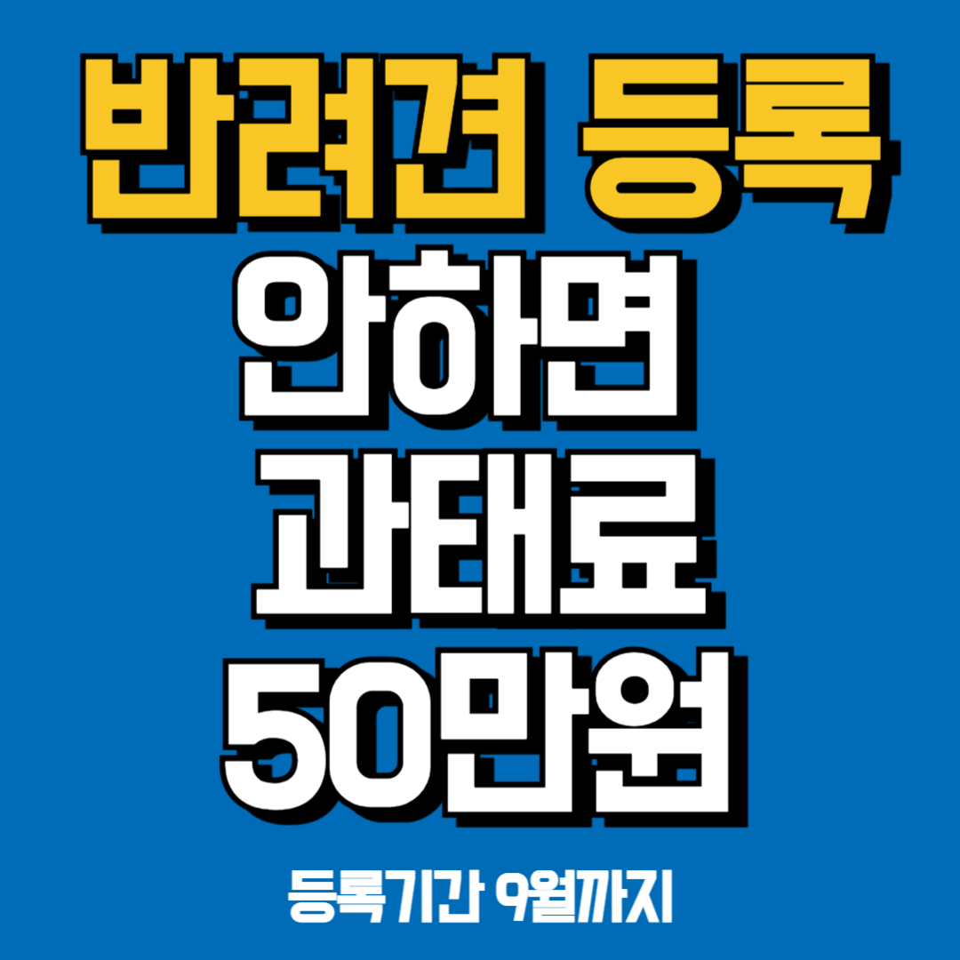 아로스 팝업