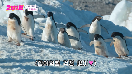 국제학술지 사이언스 표지 장식한 대한민국 연구원 | 인스티즈