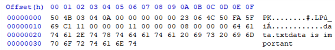 ZIP File Structure Analysis