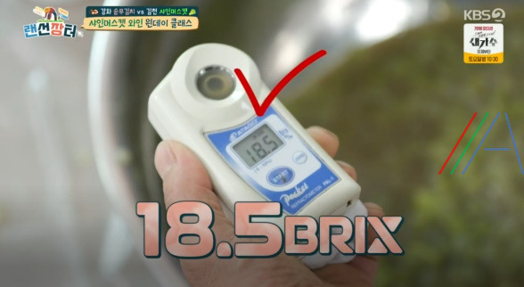 랜선장터 샤인머스캣 와인 만들기 원데이 클래스, 샤인머스켓 와인 만드는 법 레시피 14 ywAAAAAAQABAAACAUwAOw==