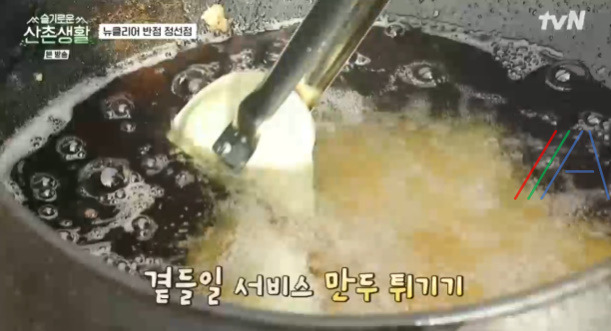 슬기로운산촌생활 튀김만두 (군만두) 레시피 만드는 법 - 뉴클리어 반점 정선점 2 ywAAAAAAQABAAACAUwAOw==
