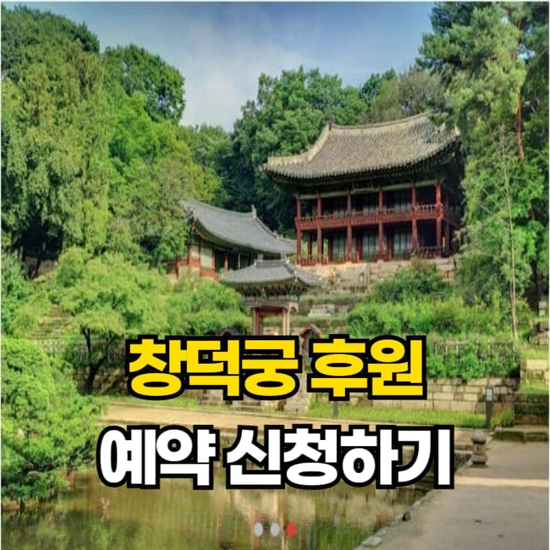 아로스 팝업