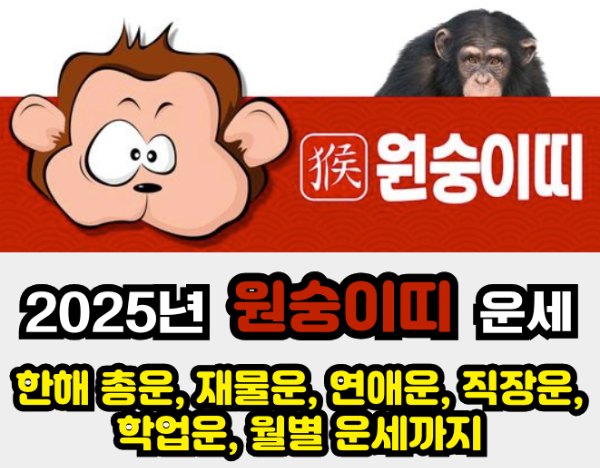 2025년 운세 - 원숭이띠