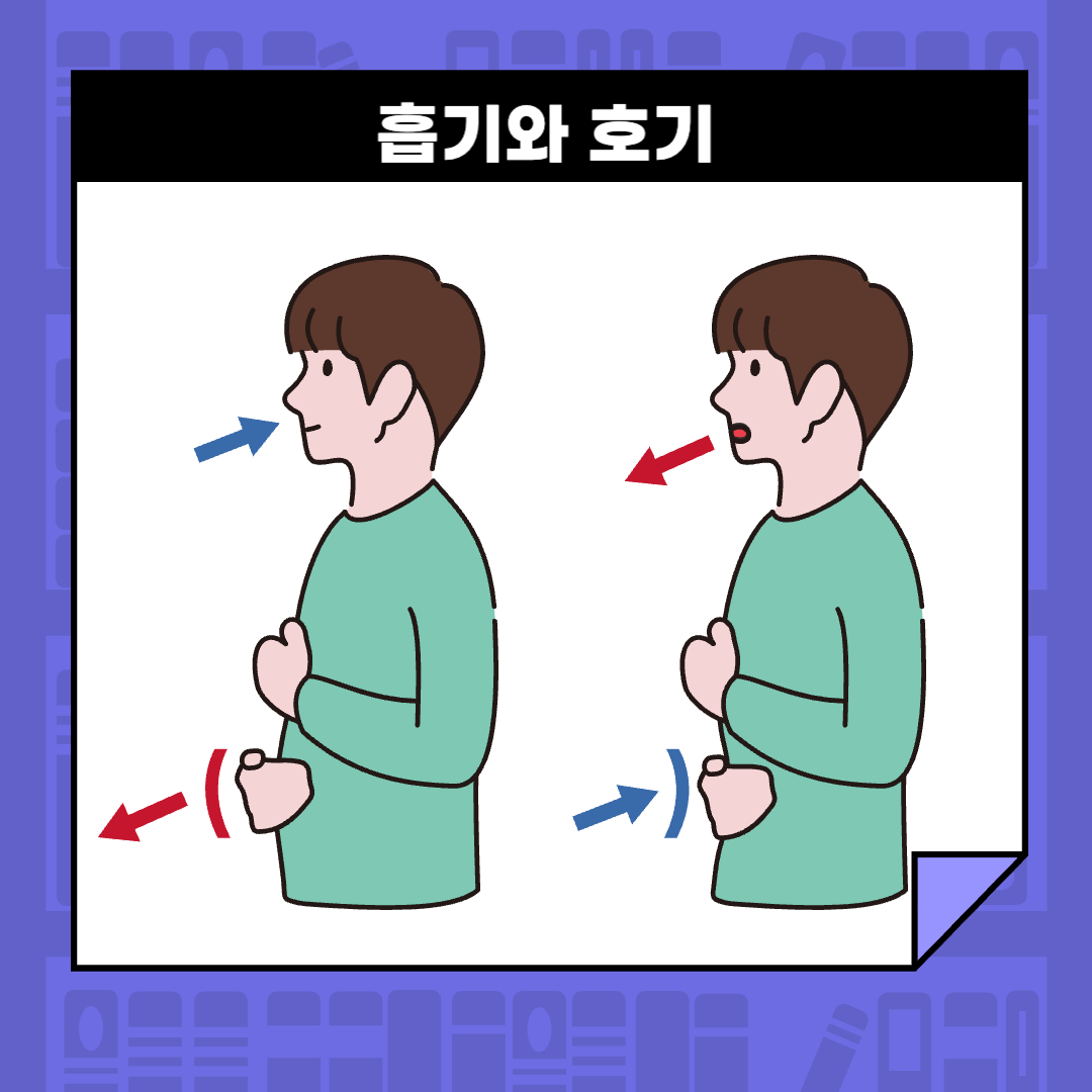 호흡의 중요성과 몸 속에서 일어나는 과정들