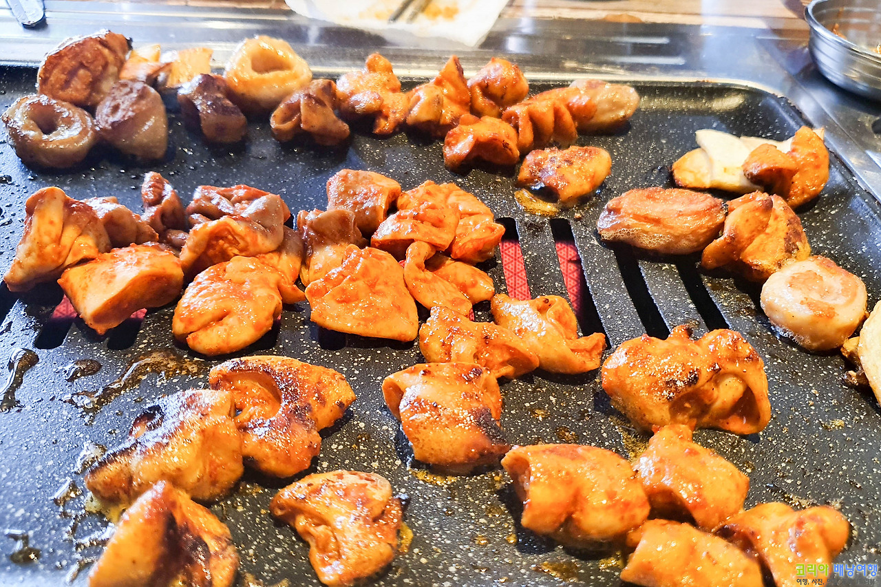 코리아배낭여행 :: 대구 곱창 맛집 안지곱창막창 안지랑곱창 골목 거리