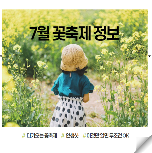 7월 꽃축제 하는곳 (여름 꽃축제)