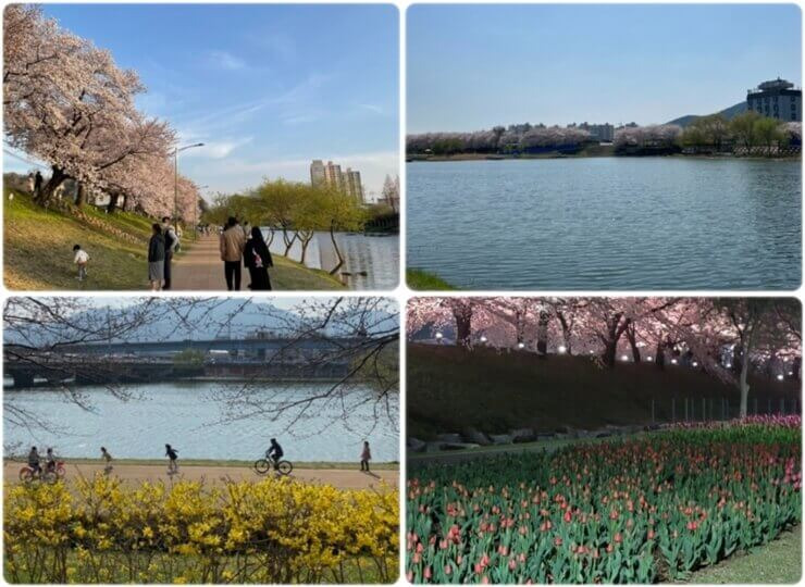 순천 가볼만한 곳 동천