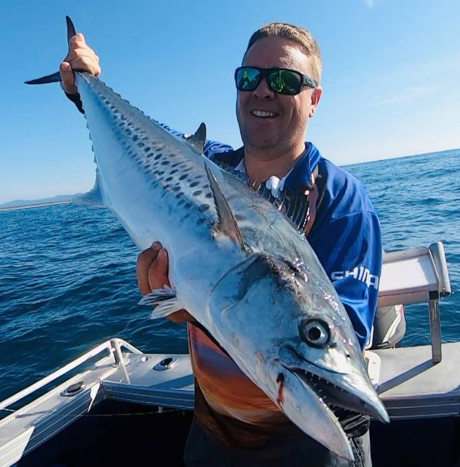 하늘을 나는 상어?