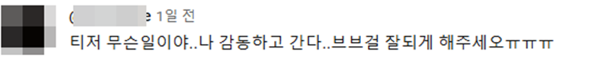 역대 티저 중에서 팬들한테 반응 진짜 좋은거 같은 브브걸