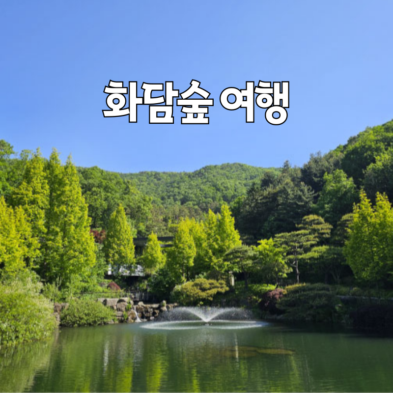 아로스 팝업