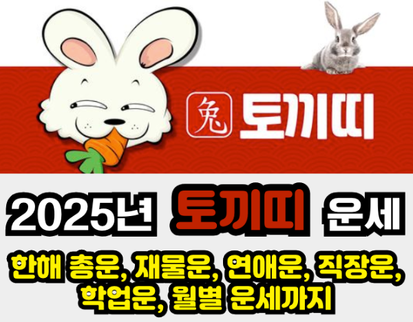 2025년 운세 - 토끼띠