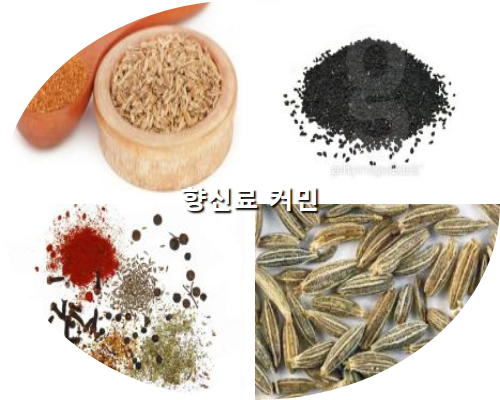 향신료: 커민 :: 해피차