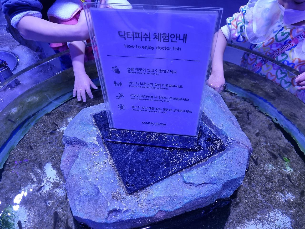 고양스타필드 매직플로우 아쿠아리움 수족관카페 후기 14 ywAAAAAAQABAAACAUwAOw==