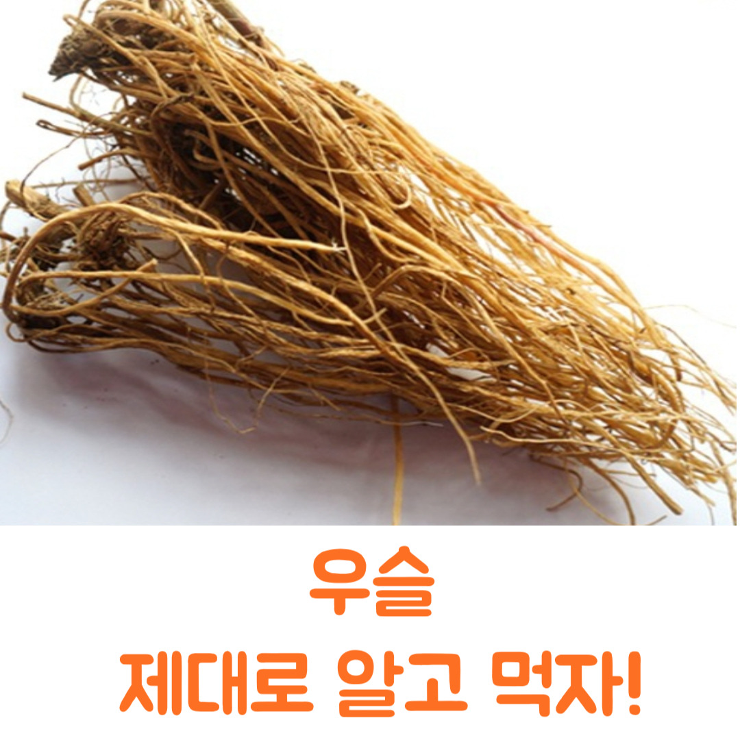 우슬 효능과 뿌리 끓이는 법부터 우슬두충 먹는법 총정리