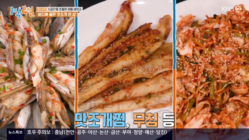 1박2일 전남 순천 베이스캠프, 꽃마차마을 금산마을 한옥 숙소 촬영지 어디? 전남 순천 시공간을 초월한 여름 바캉스 2 ywAAAAAAQABAAACAUwAOw==