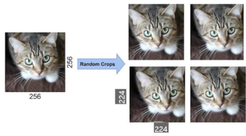 Data Augumentation