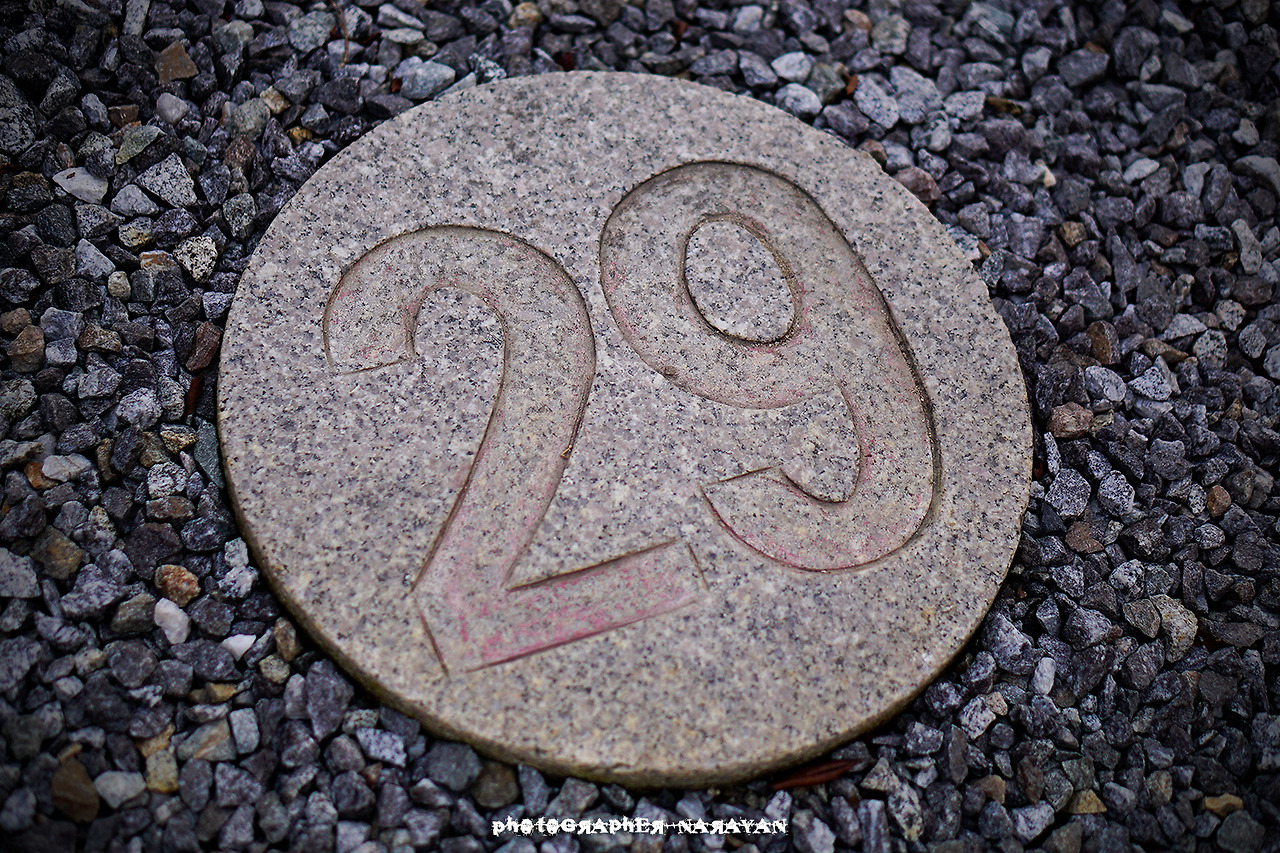 29 narayan s garage inc 