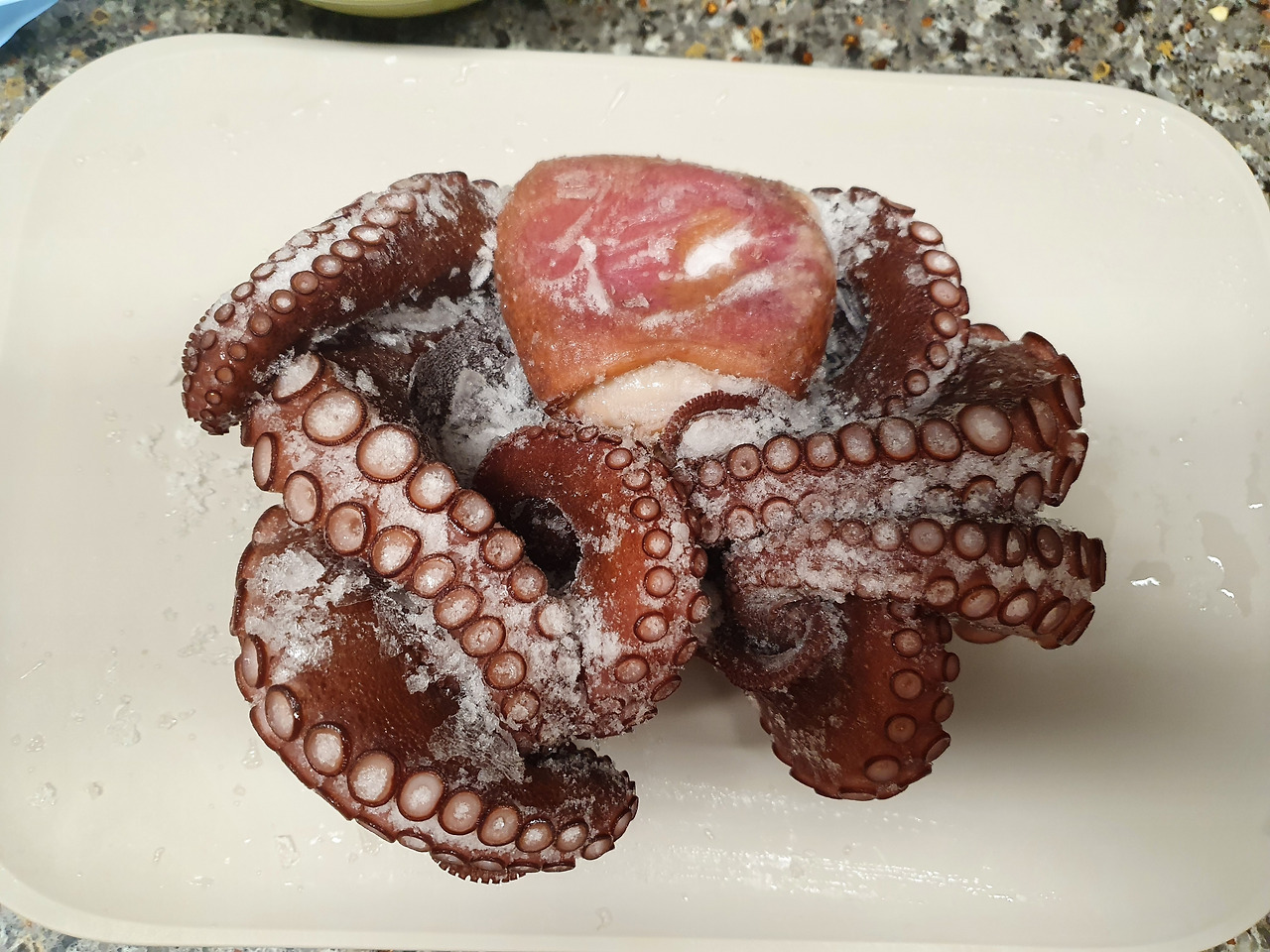 문어 맛있게 먹는 방법 2가지(삶은 문어 해동하는 방법) 2 ywAAAAAAQABAAACAUwAOw==