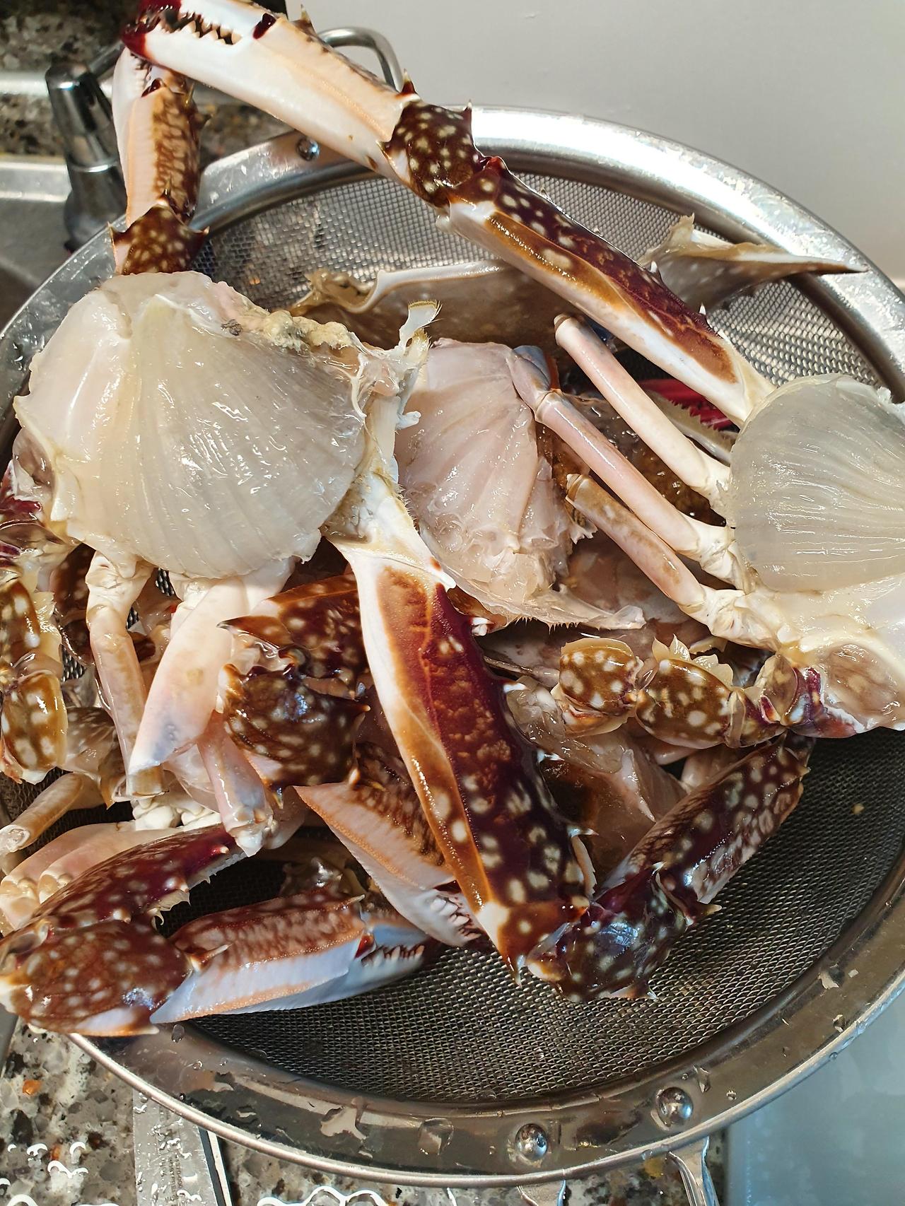 꽃게탕 끓이기 황금레시피 2 ywAAAAAAQABAAACAUwAOw==