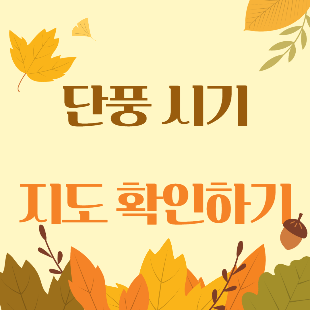 아로스 팝업