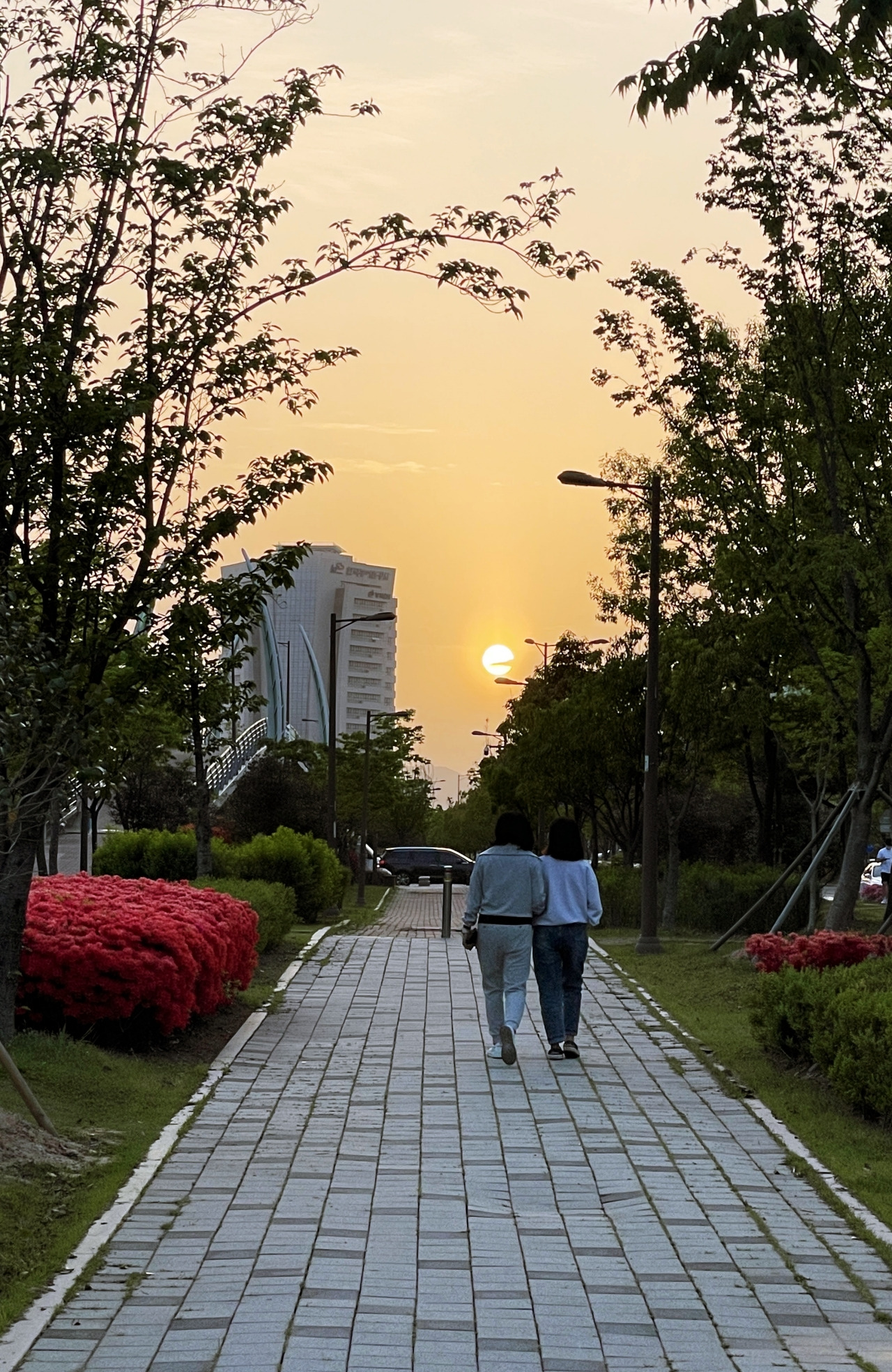 나주 빛가람혁신도시의 도심속 휴식공간 《빛가람호수공원》 10 ywAAAAAAQABAAACAUwAOw==