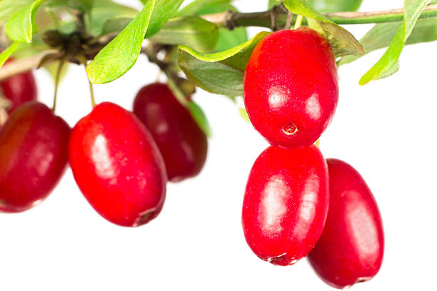 ?scode=mtistory2&fname=https%3A%2F%2Fblog.kakaocdn.net%2Fdn%2F9F0CC%2FbtsHQCiALQu%2FFENUGNtbXQABpVHU0n21IK%2Fimg