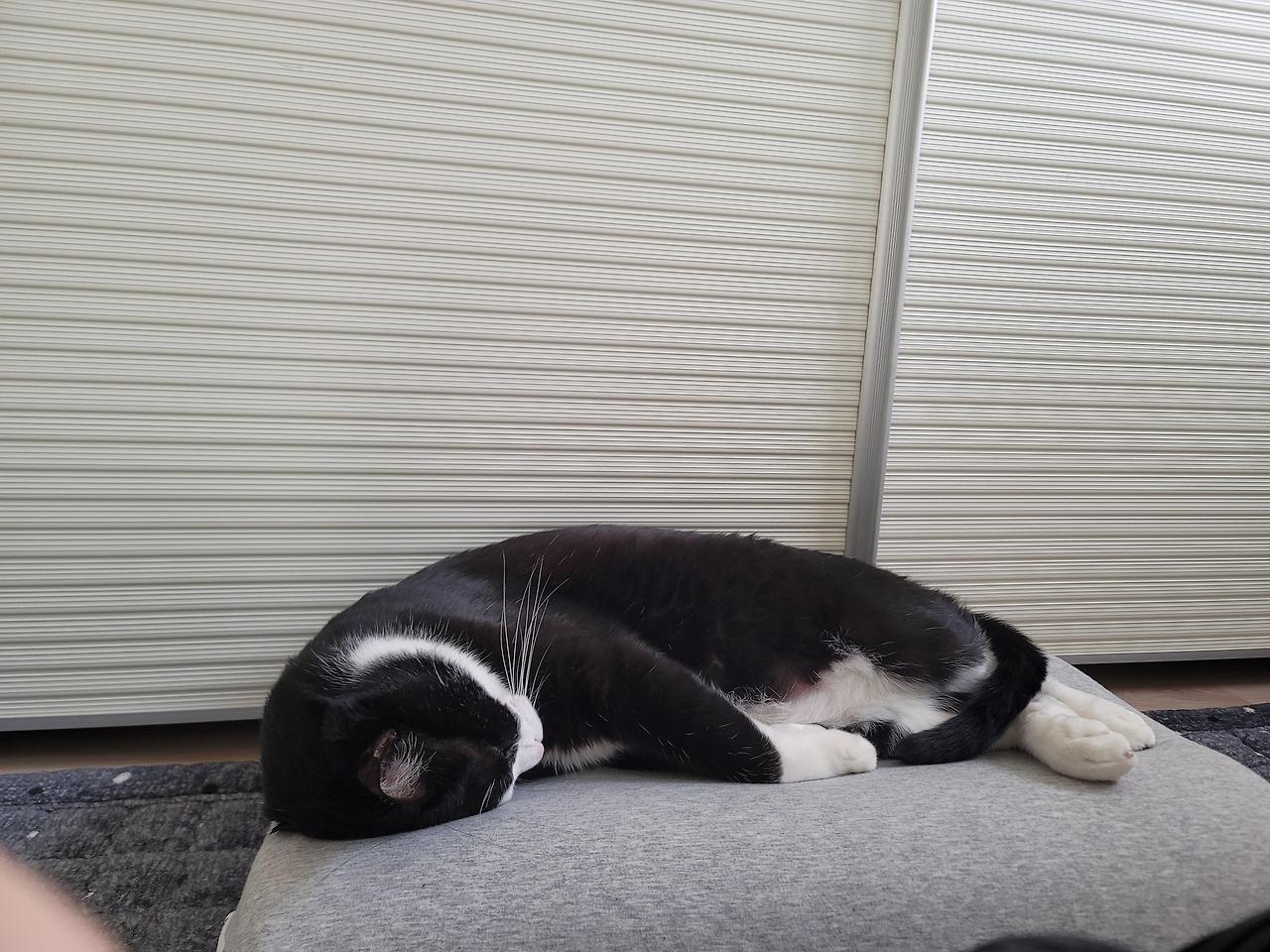 ?scode=mtistory2&fname=https%3A%2F%2Fblo