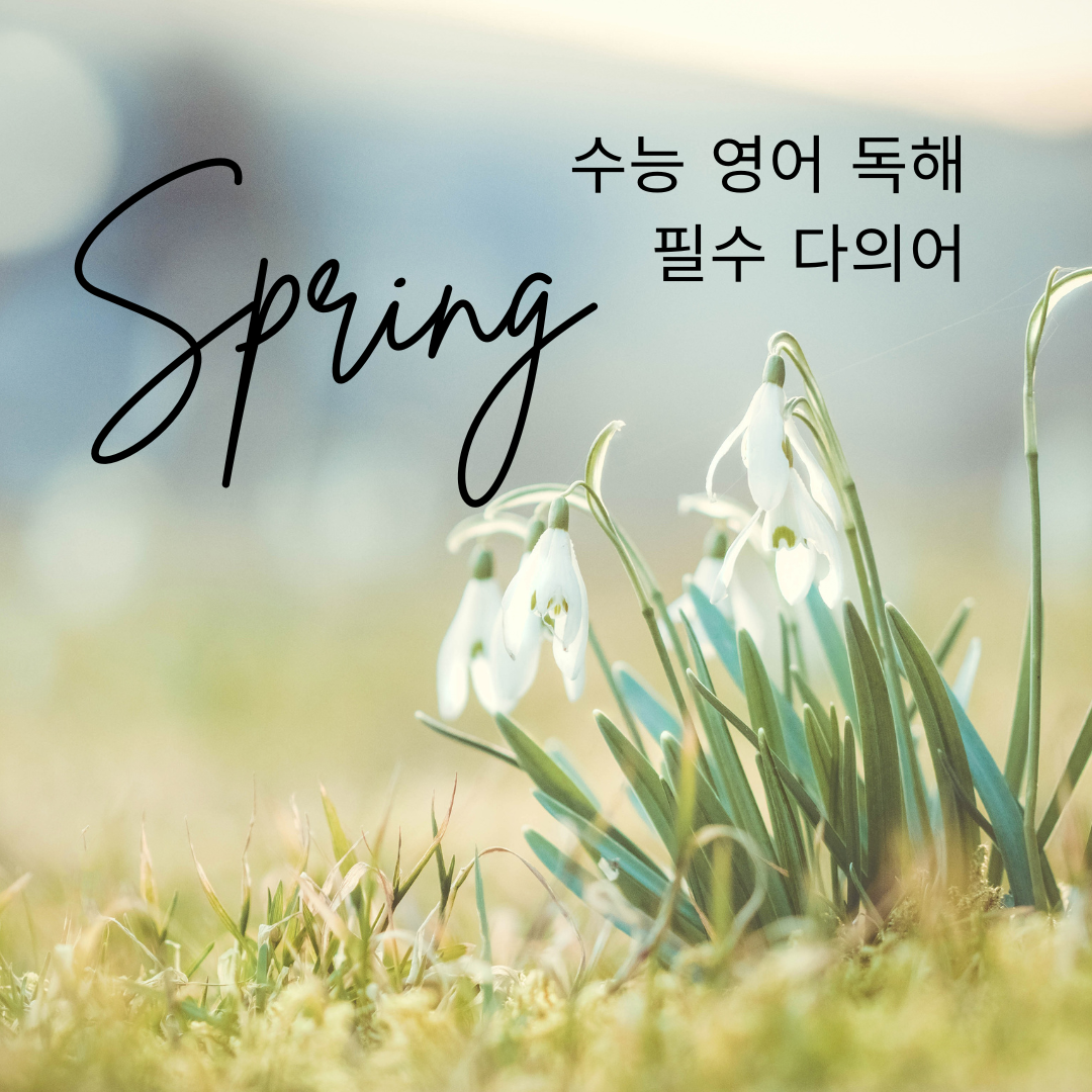 수능 영어 독해 필수 다의어 Spring 뜻과 예문 1 수능 영어 독해 필수 다의어 Spring 뜻과 예문