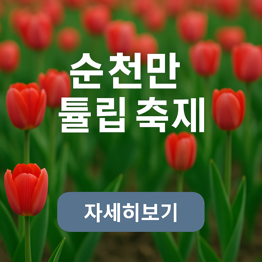 아로스 팝업