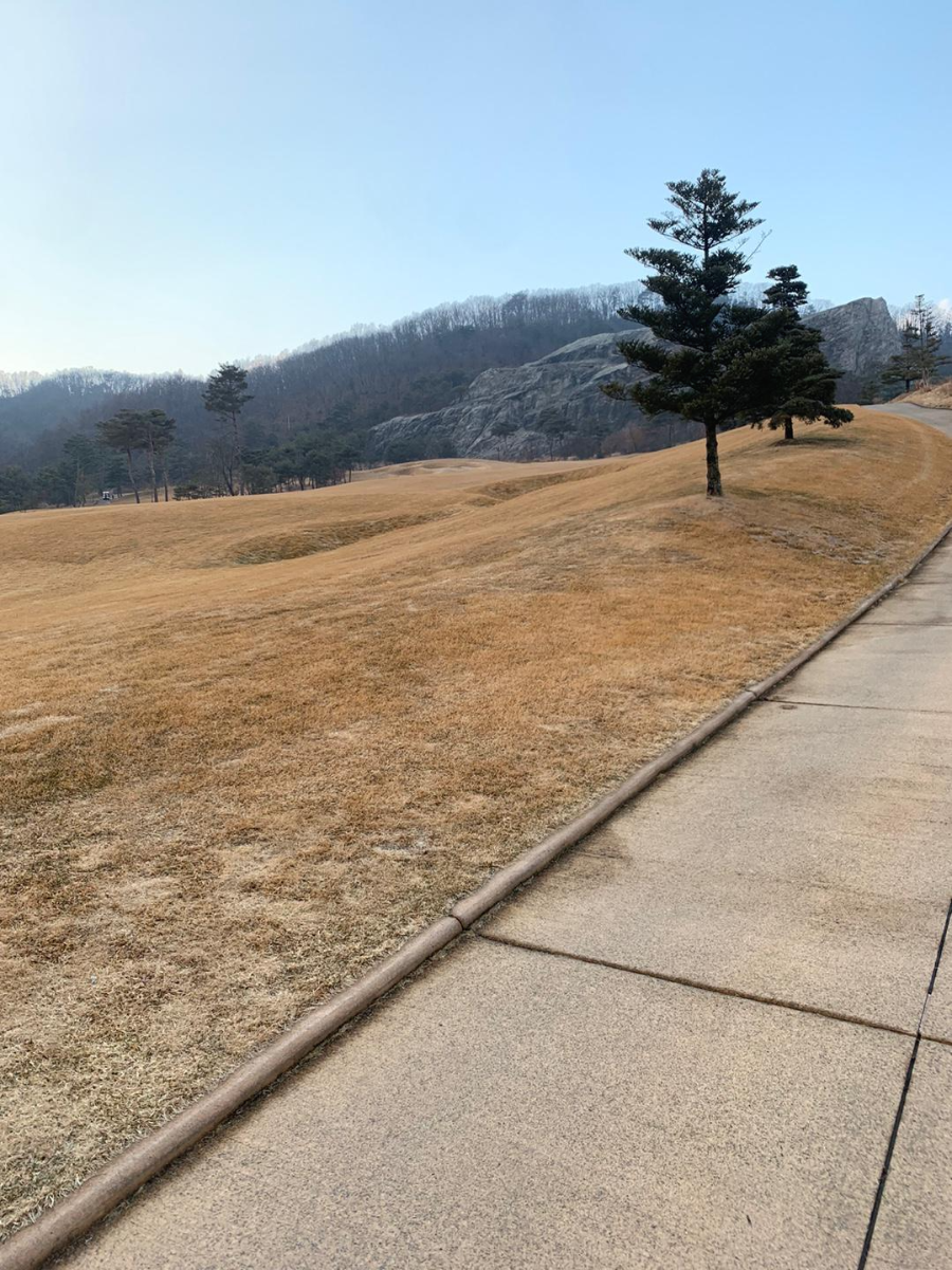 KPGA 2022시즌 개막전이 열리는 라비에벨CC 올드코스 라운드 후기 26 ywAAAAAAQABAAACAUwAOw==