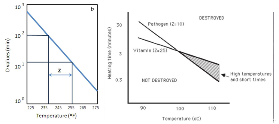 Heat Sterilization (D, Z, F-value) 및 접근 방법