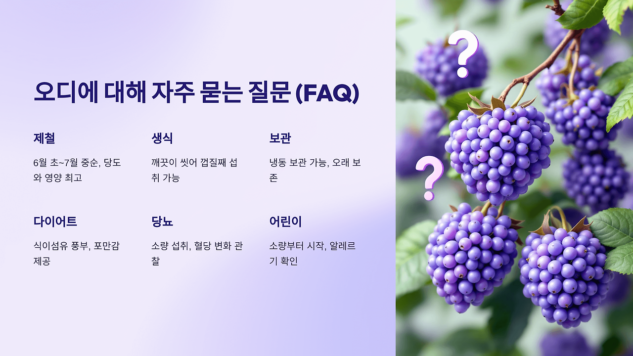 오디 효능 부작용 총정리