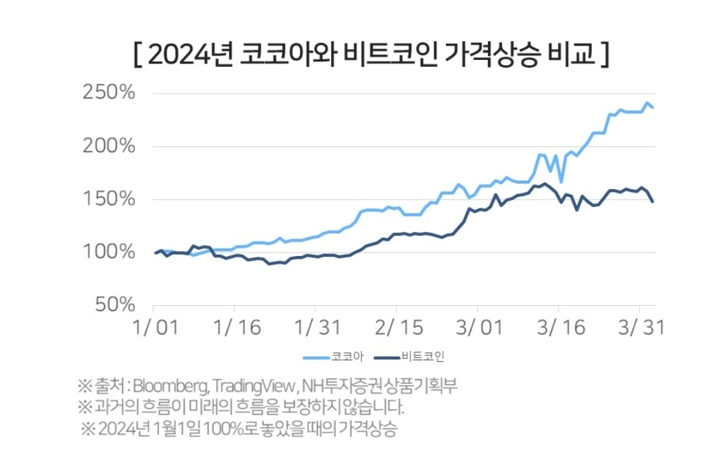 올해만 벌써 2배 상승한 코코아, 급등의 원인과 투자 유의 사항 1 ywAAAAAAQABAAACAUwAOw==