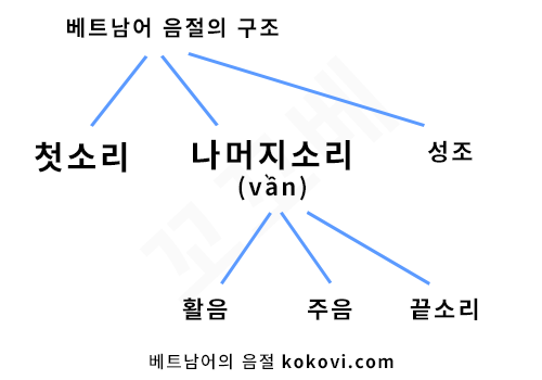베트남어의 음절 해부(중급)