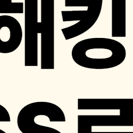 PASS 앱, 명의도용 방지, 유심 해킹