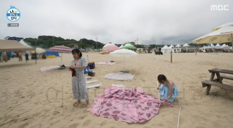 나혼자산다 박나래 양양 해변 바닷가 해수욕장 촬영지 장소 위치 어디? 1 ywAAAAAAQABAAACAUwAOw==