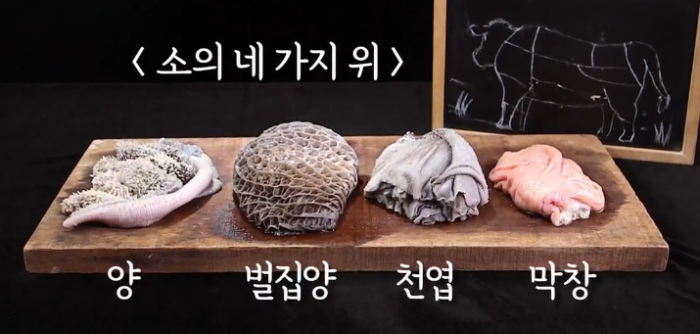 소의 4개 위: 양, 벌집양, 천엽, 막창의 세부적인 특징과 역할