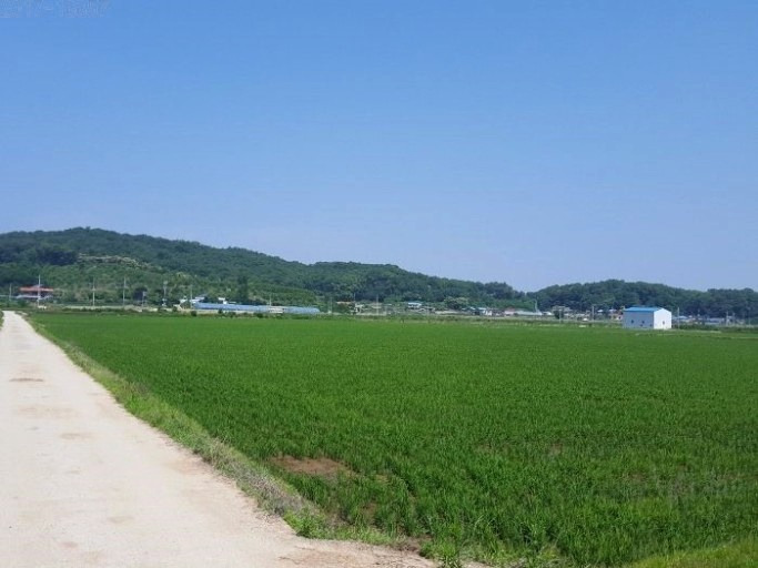 농림지역내 농지 '주말농장'으로 구입불가 3 ywAAAAAAQABAAACAUwAOw==