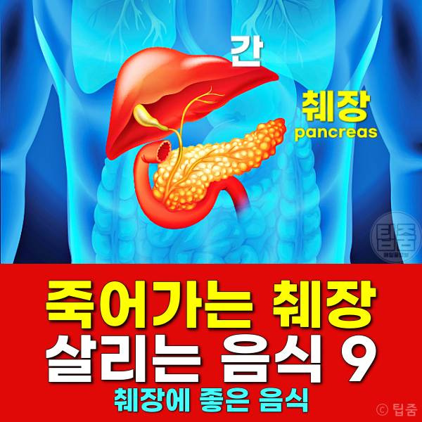 췌장 살리는 음식 9가지 | 췌장에 좋은 음식 | 췌장염 회복 식단