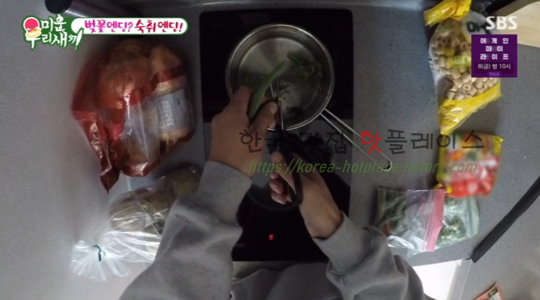 미운우리새끼 곽시양 해장라면 레시피 4 ywAAAAAAQABAAACAUwAOw==